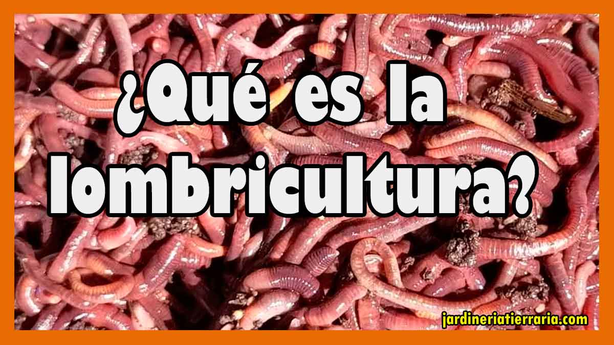 que es la lombricultura