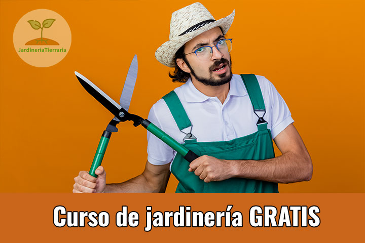 Curso de jardinería Gratis Online